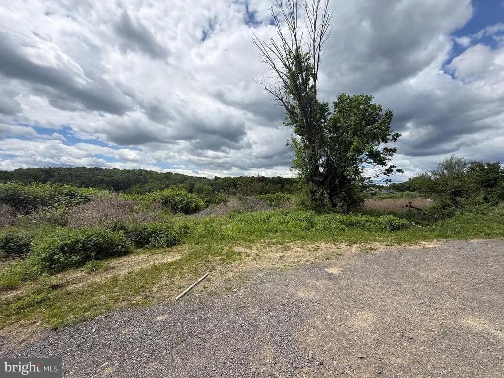 2.39 Acres of Land for Sale in Williamsport, Pennsylvania - Williamsport, Pennsylvania, 17701