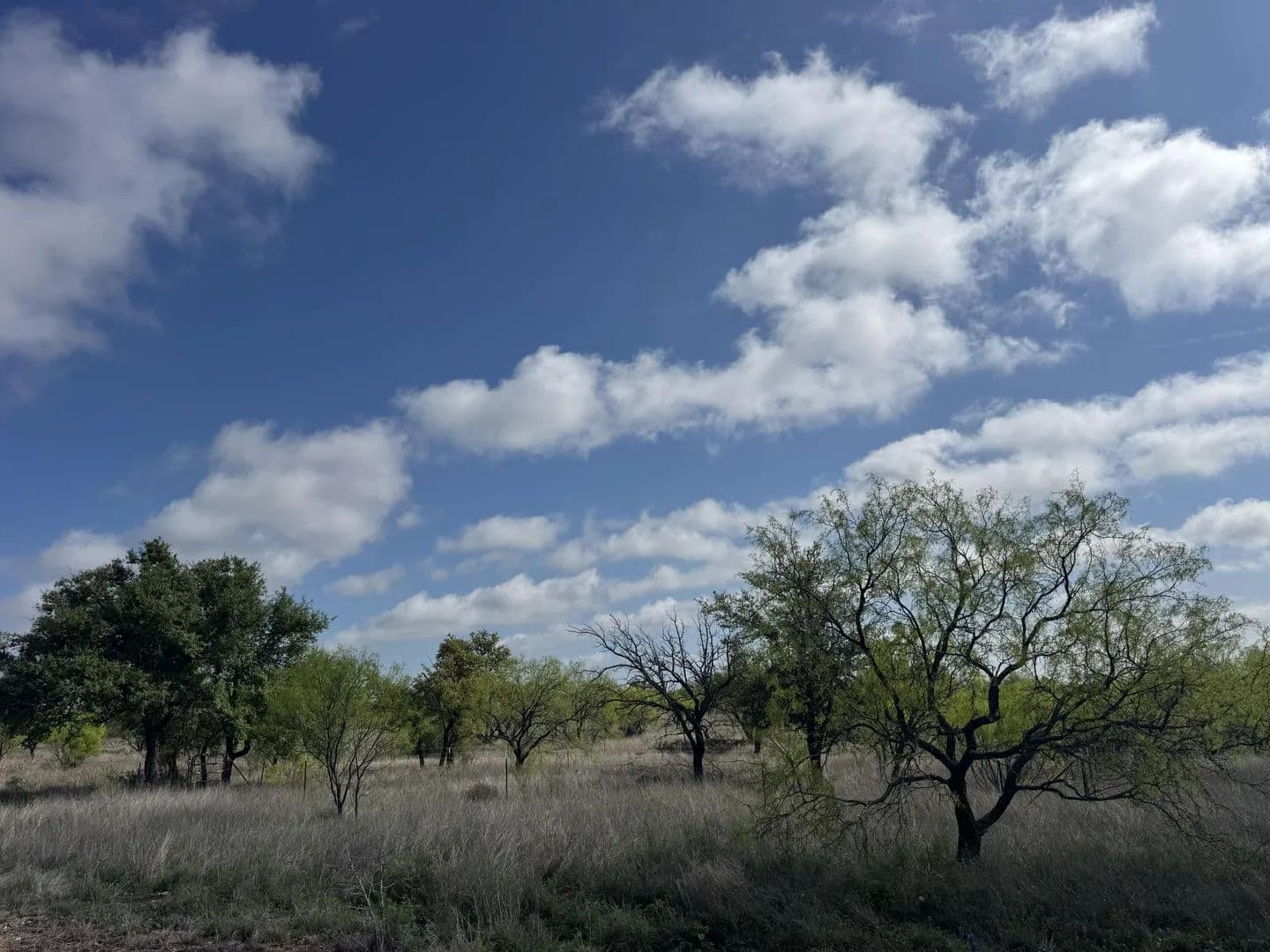 16.53 Acres of Land for Sale in Menard, Texas - Menard, Texas, 76859