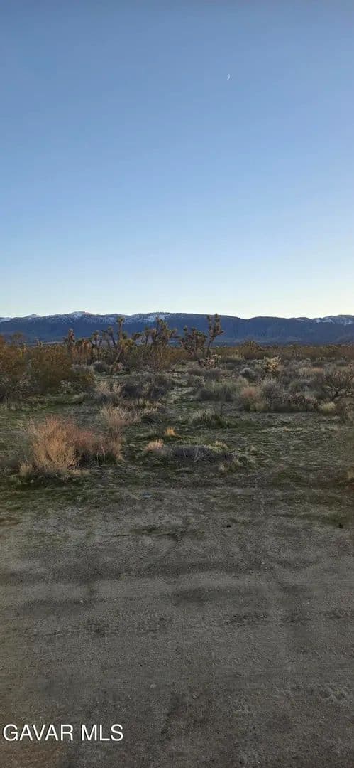 Property from 253 Ste Vic Avenue V 253 Ste - KW - Palmdale, California, 93591