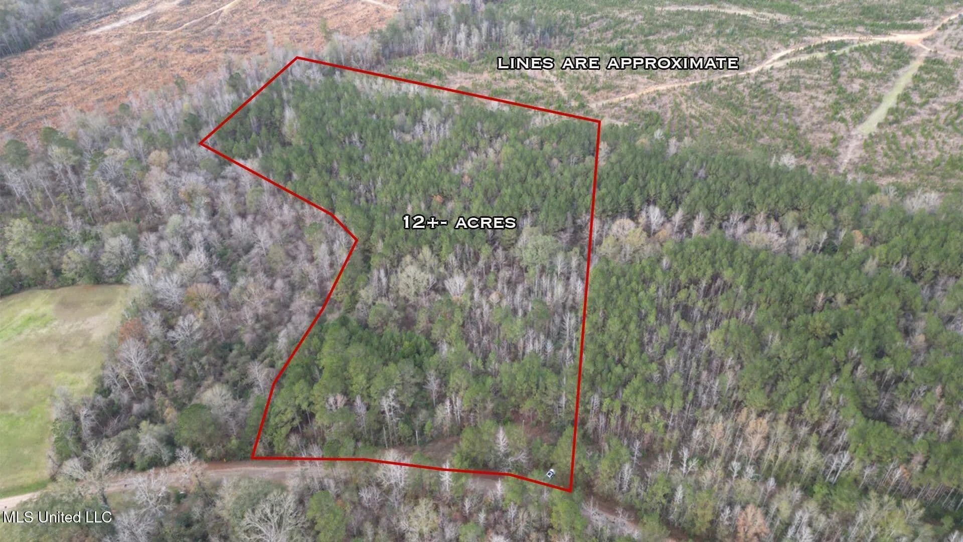 Property from 57 Mose Hilliard Road - KW - Sontag, Mississippi, 39665