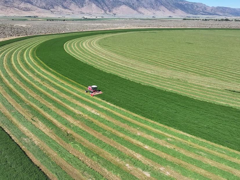 Drifting Hills Ranch