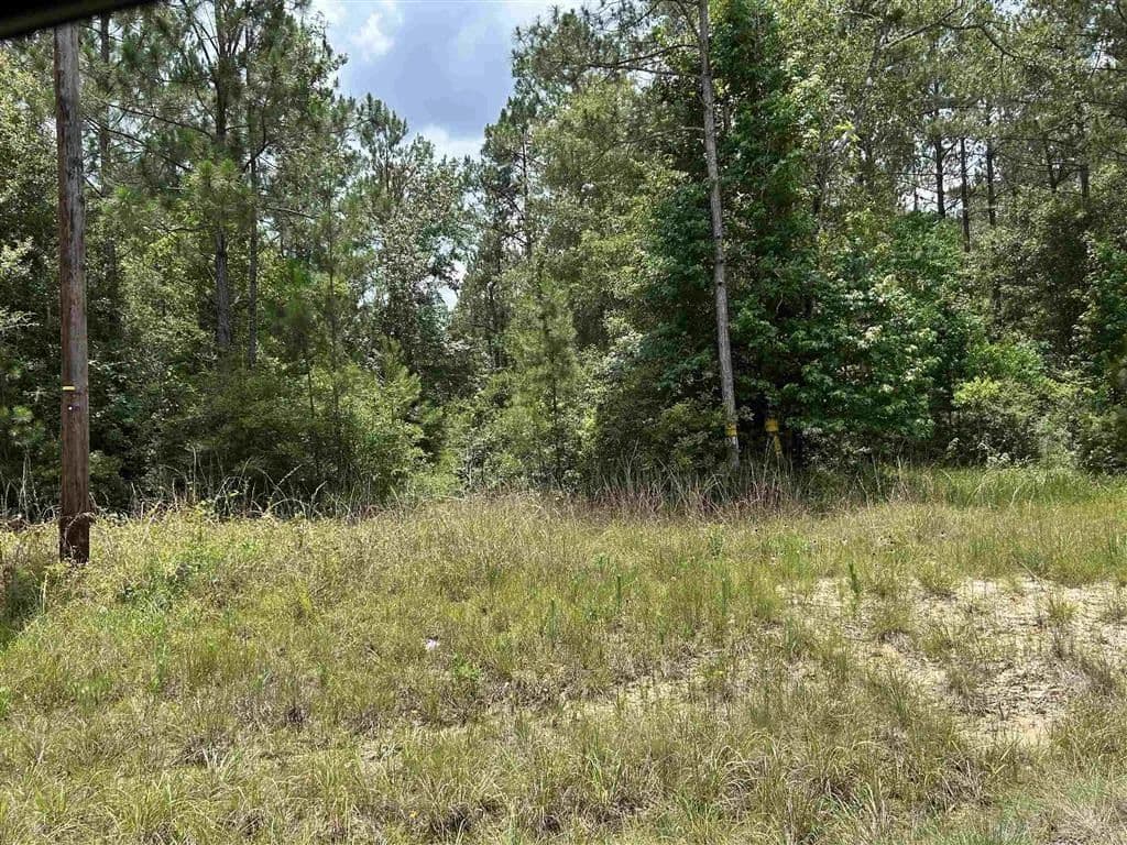 94.15 Acres of Land for Sale in Merryville, Louisiana - Merryville, Louisiana, 70653