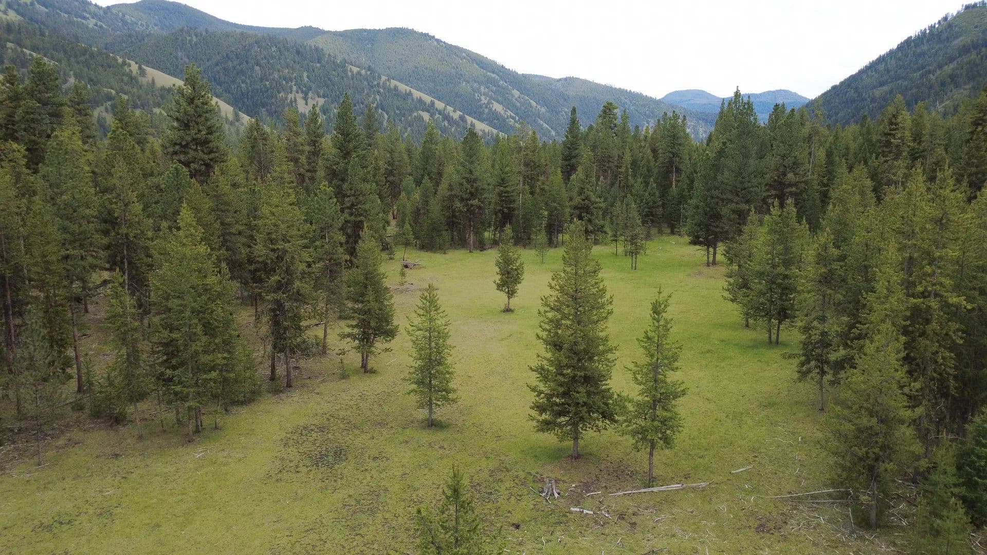 Property from Tract A West Meadow Road - KW - Darby, Montana, 59829