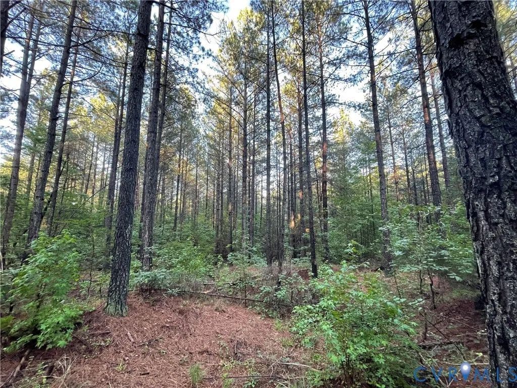 40 Acres of Land for Sale in Amelia, Virginia - Amelia, Virginia, 23002