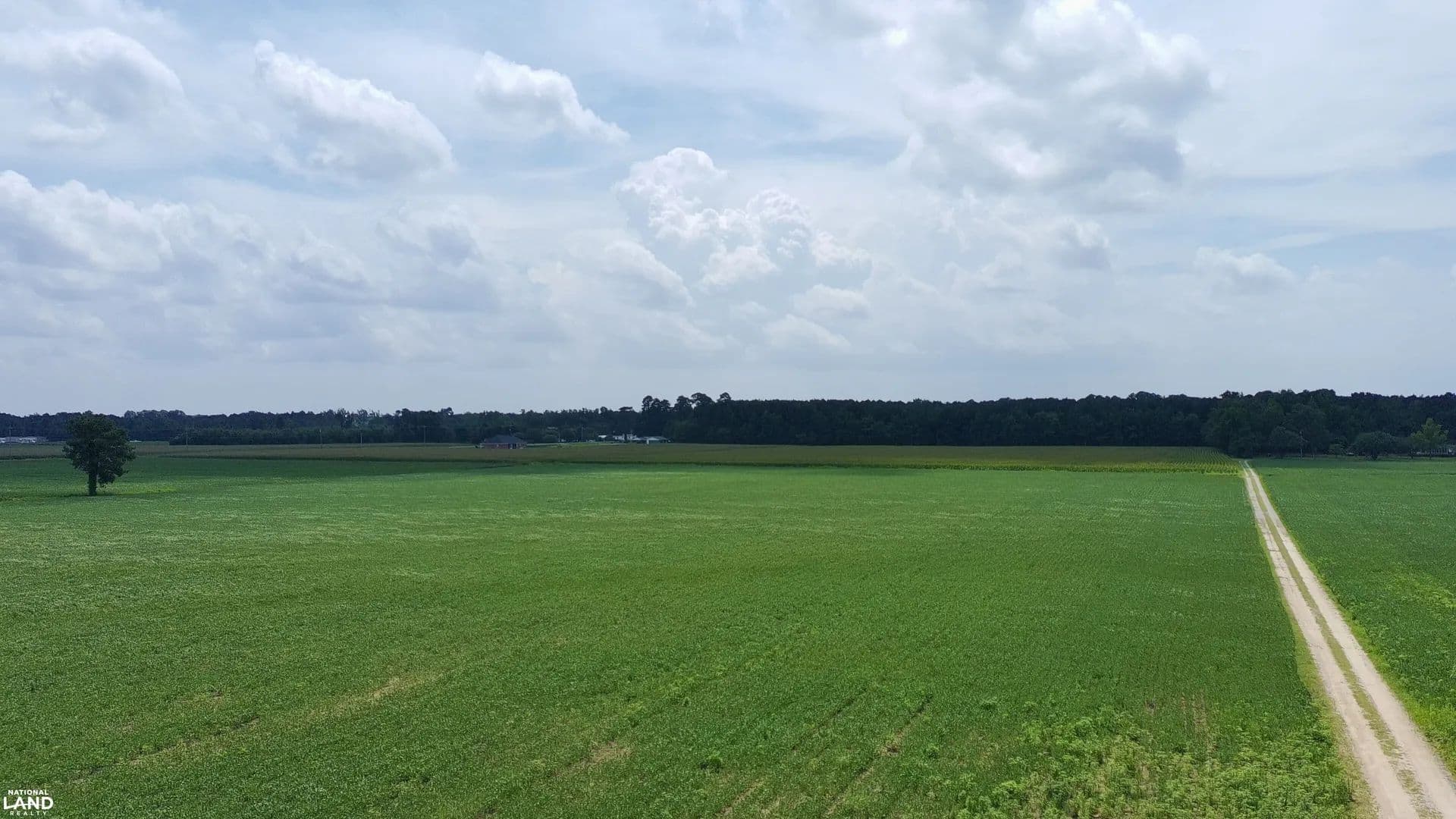 Pear Tree Lane Farmland/Timberland - land for sale