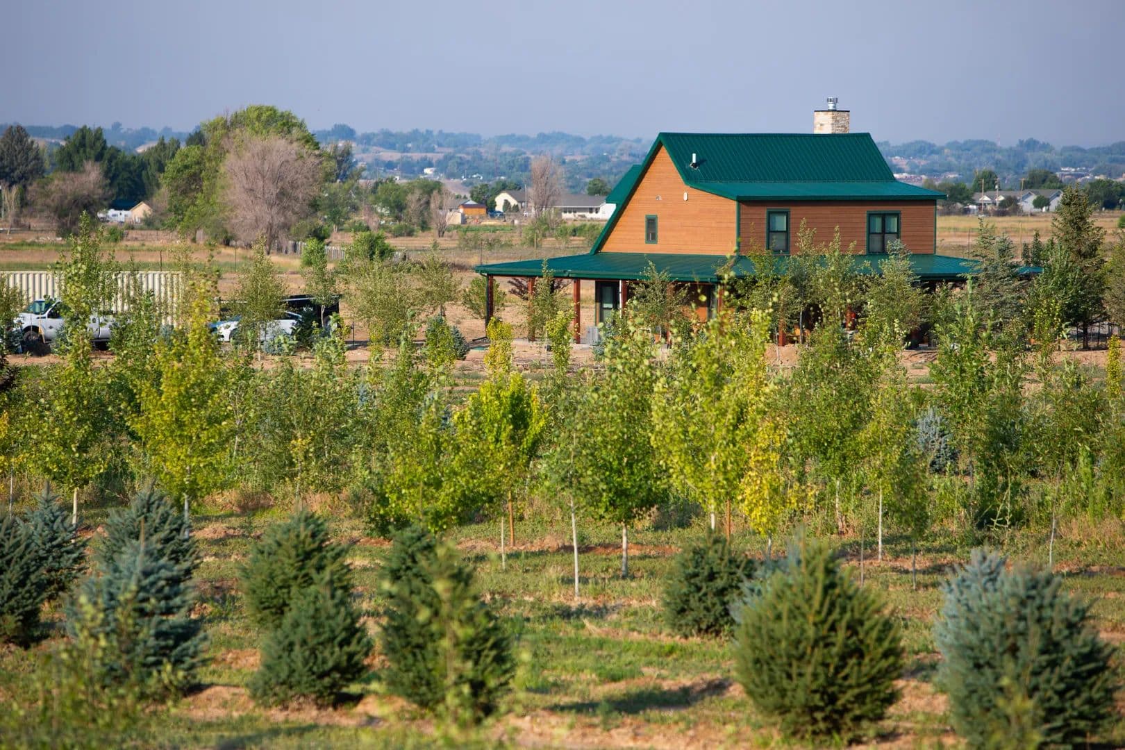 37-Acre Western Colorado Country Home & Tree Farm for Sale - Austin, Colorado, 81410
