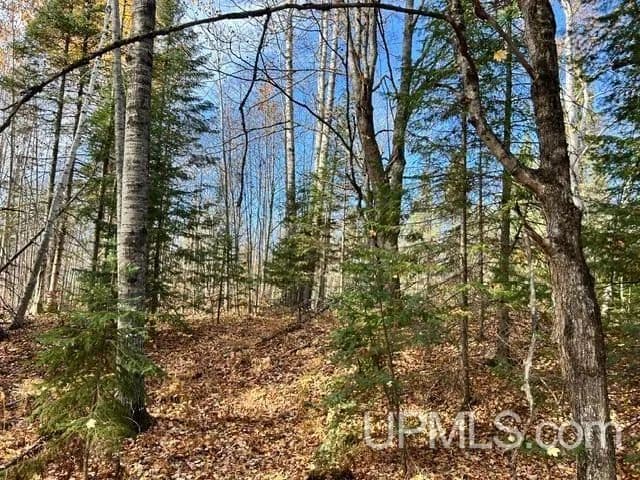 Vacant Land in Chassell - Chassell, Michigan, 49916