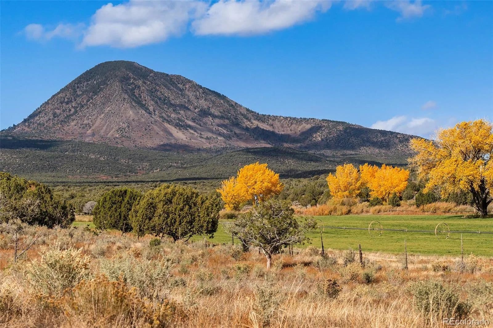 1286 Acres of Land for Sale in Cortez, CO - Cortez, Colorado, 81321
