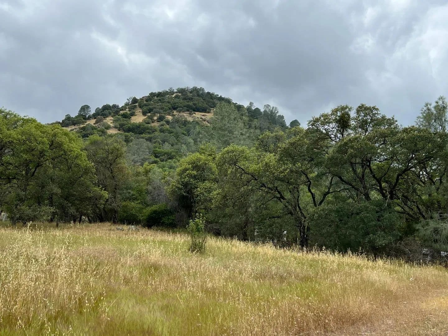 Property from 10840 Pool Station Road - KW - Angels Camp, California, 95222