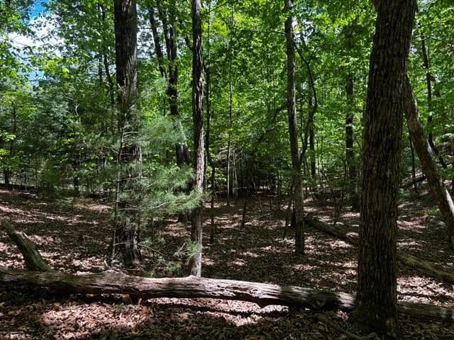 Lots & Land-Other in Blairsville - Blairsville, Georgia, 30512