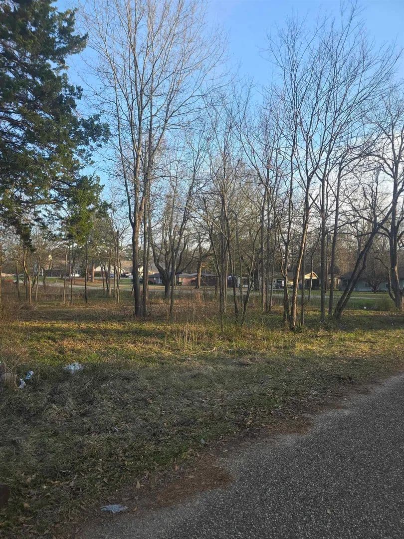 0.34 Acres of Land for Sale in Jefferson, Texas - Jefferson, Texas, 75657