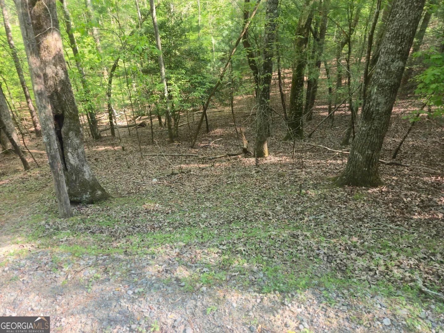 Property from 0 Hart Court - KW - Ellijay, Georgia, 30540