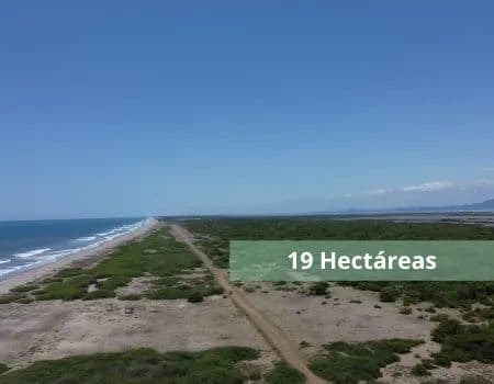 TIERRAS CAMINO A LA ESCOLLERA - land for sale