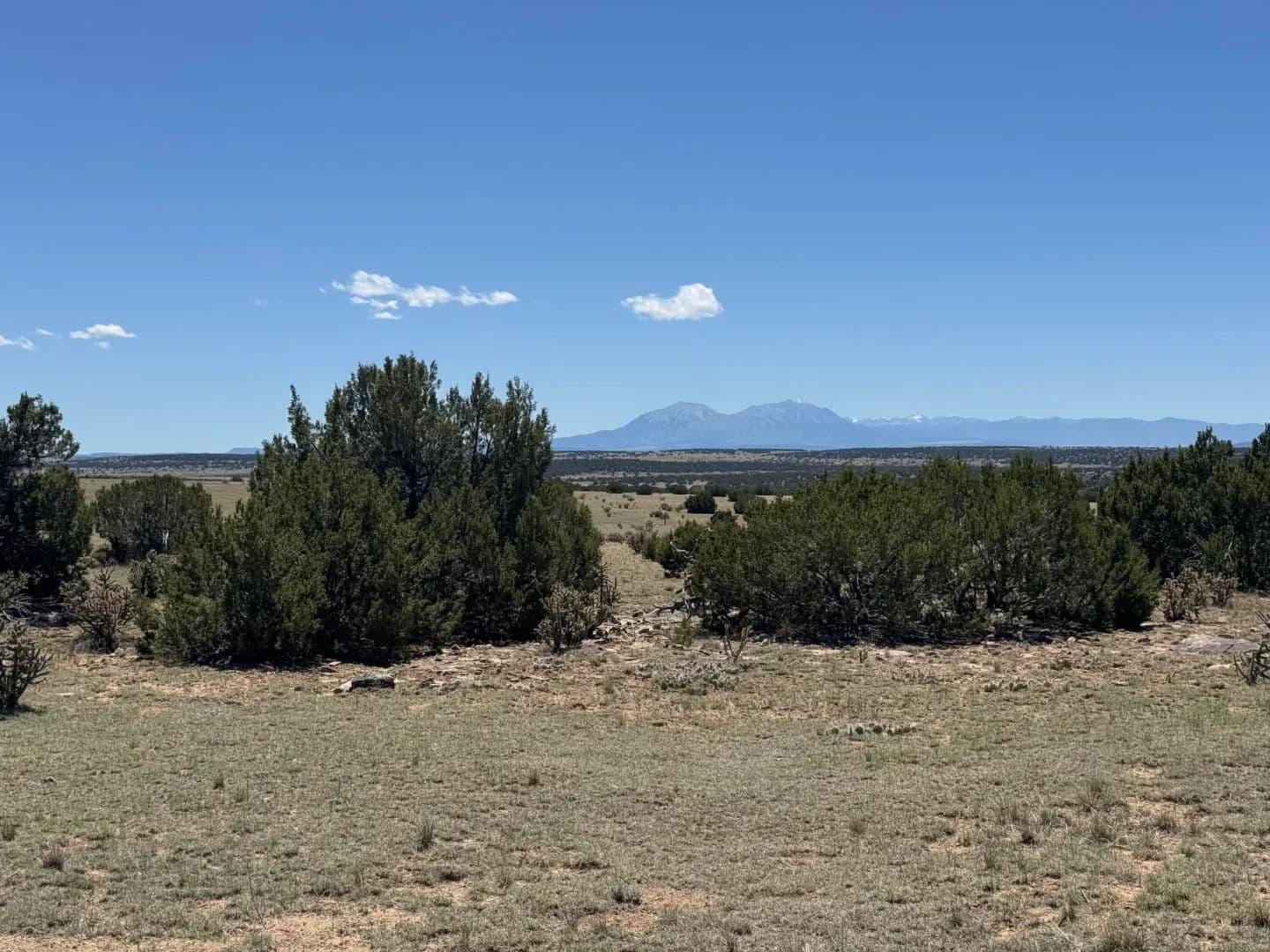 169 Tyrone Hills, Walsenburg, CO 81089 - land for sale
