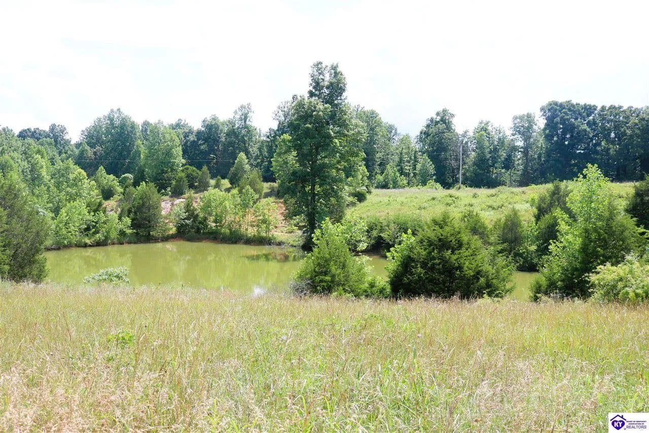 Property from 0 Levi Beam Road - KW - Magnolia, Kentucky, 42757