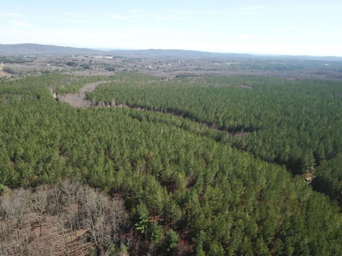 1009 Waldensia Split #3 - Harriman, Tennessee, 37854