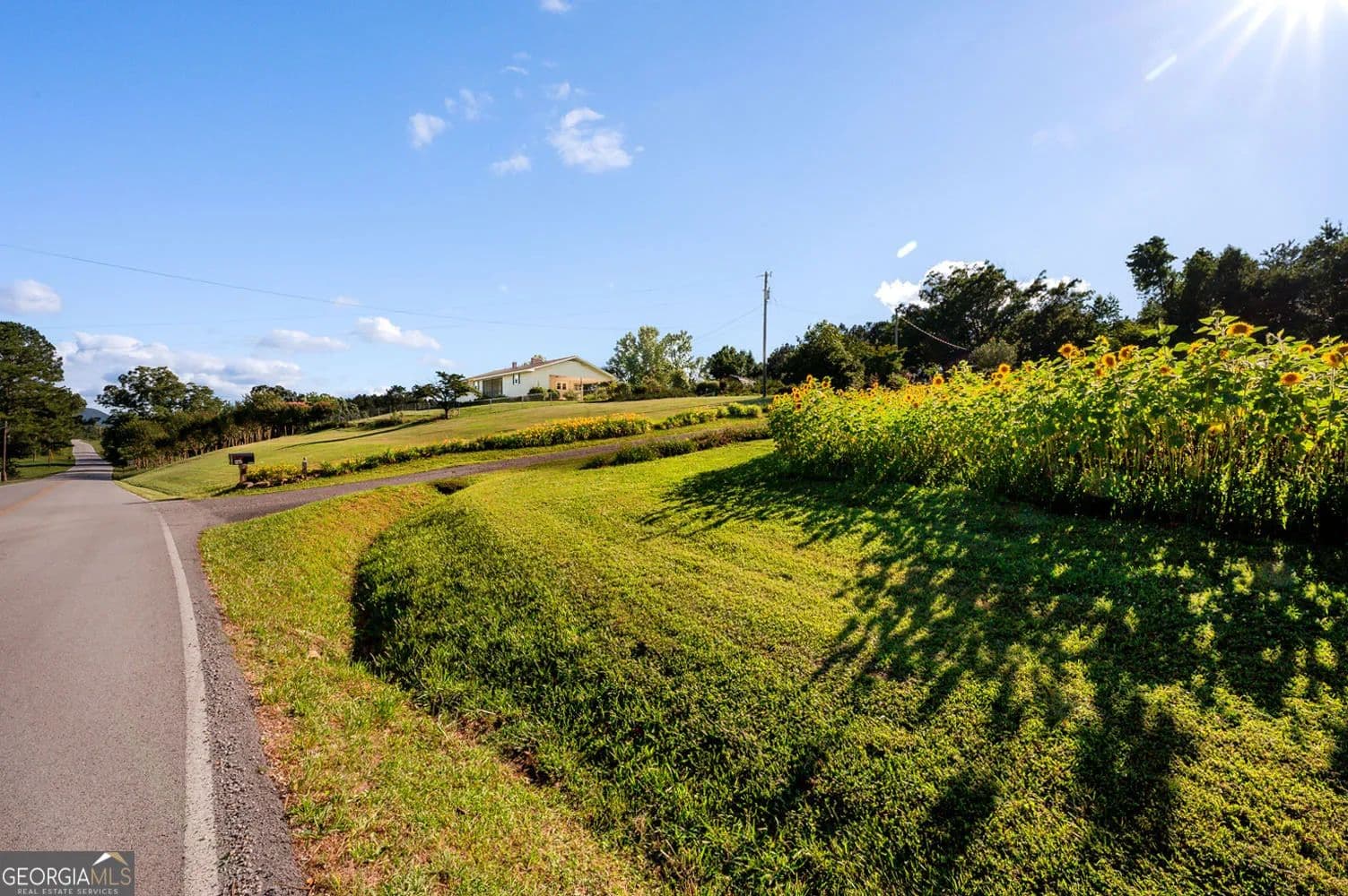 28 Acres of Land for Sale in Trion, GA - Trion, Georgia, 30753