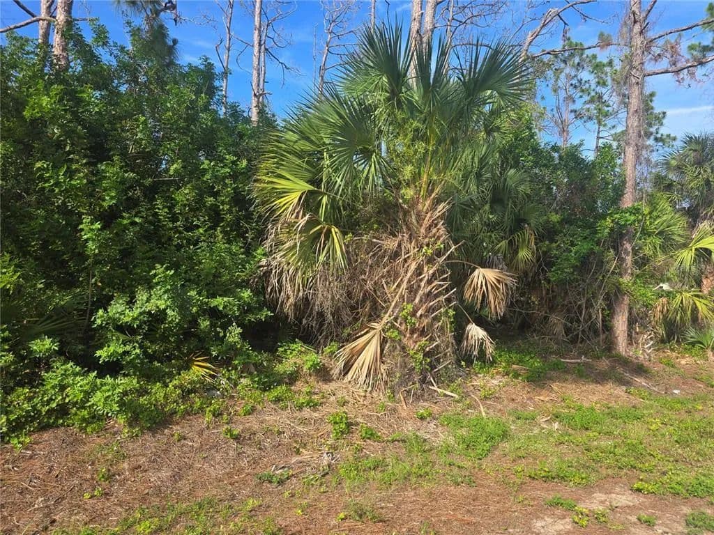 Vacant Land in North Port - North Port, Florida, 34286