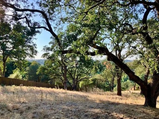 0.46 Acres of Land for Sale in Oakdale, CA - Oakdale, California, 95361