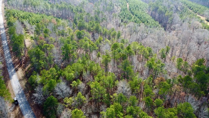 Turkey Pen Road Tract 5 | 4.6 +/- Acres in Clay County