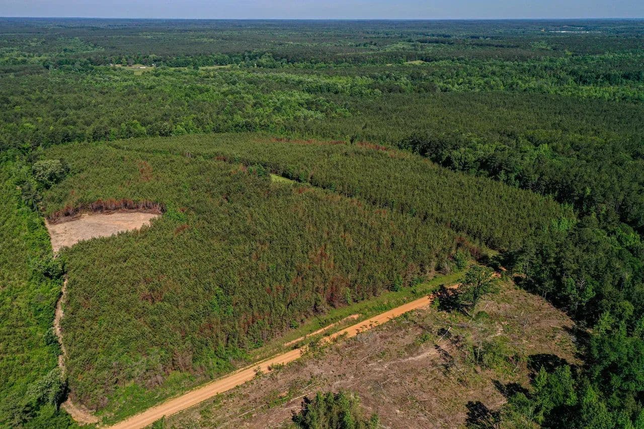 Triplett Rd 143 Acres - Ackerman, Mississippi, 39735