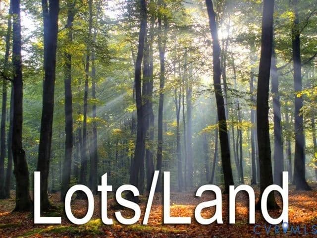 10.13 Acres of Land for Sale in Disputanta, Virginia - Disputanta, Virginia, 23842