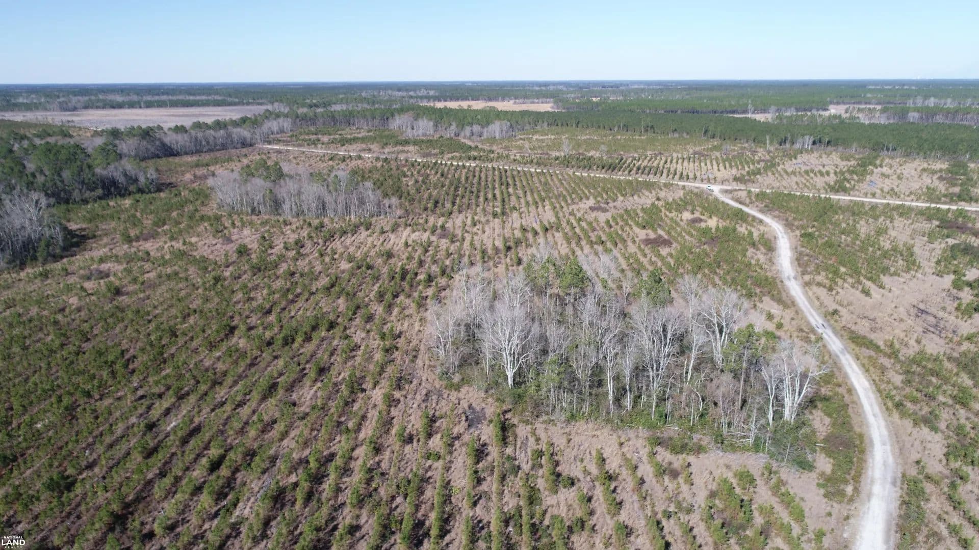 Tyler South Tract - Jesup, Georgia, 31546