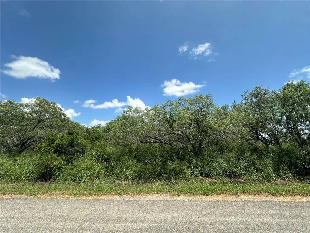 2.06 Acres of Land for Sale in Skidmore, TX - Skidmore, Texas, 78389
