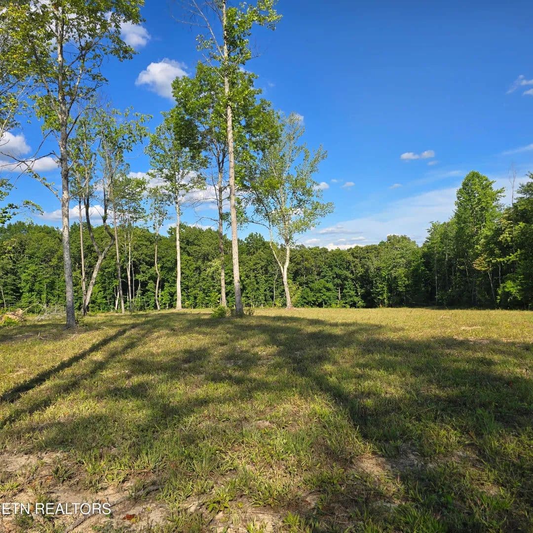 80 Acres of Land for Sale in Sunbright, TN - Sunbright, Tennessee, 37872