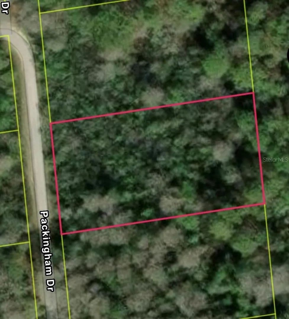 Property from PACKINGHAM DR, LOT 10 - KW - Webster, Florida, 33597