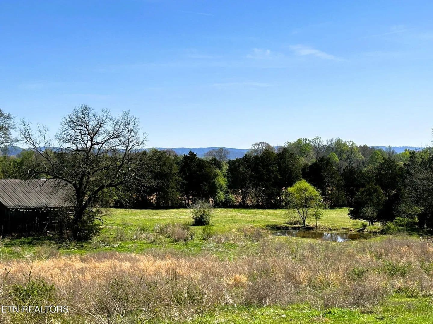 Property from 17.5 acres County Road 571 - KW - Englewood, Tennessee, 37329