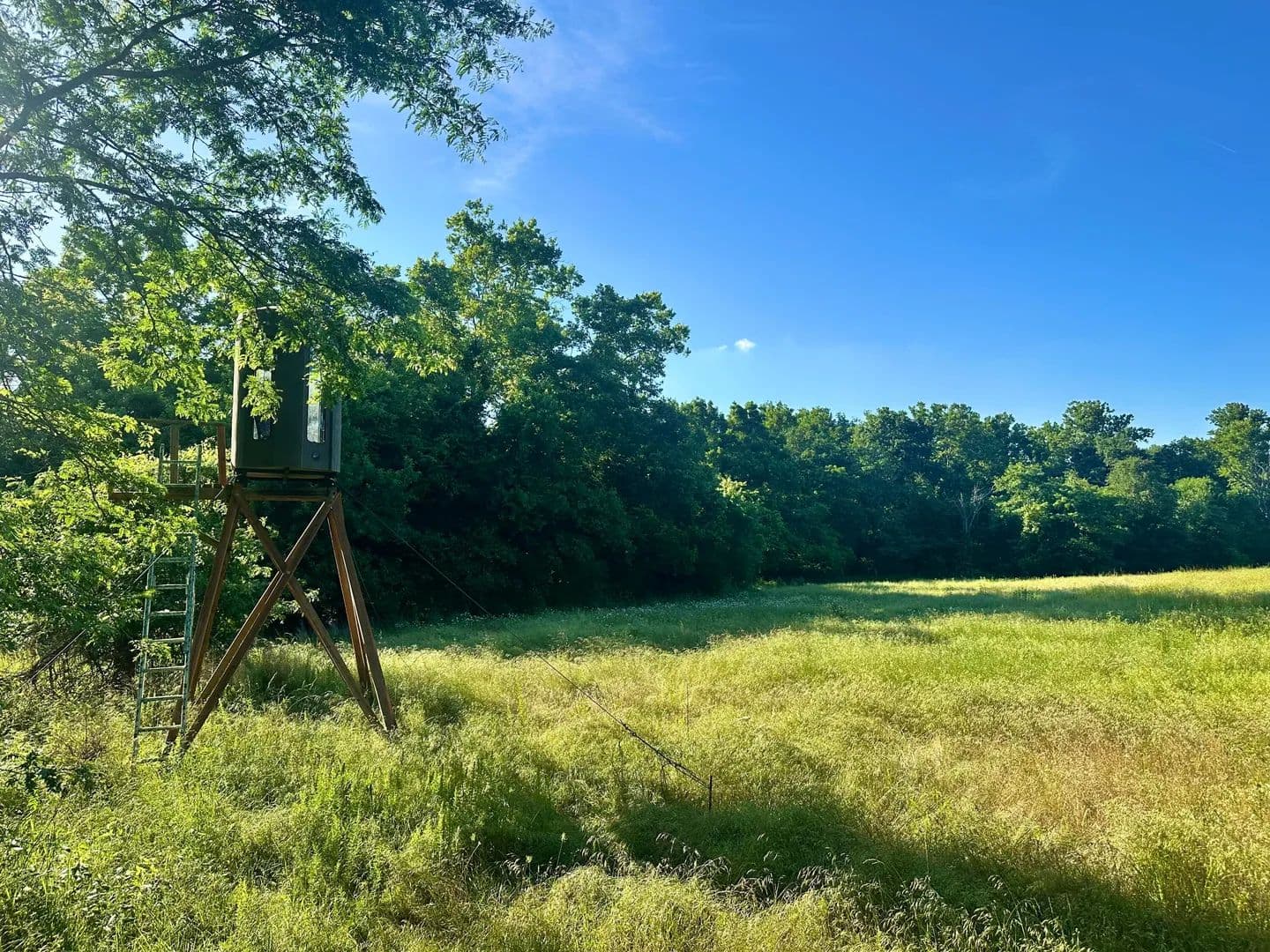 180.74 Acres of Land for Sale in Wheatland, Missouri - Wheatland, Missouri, 65779