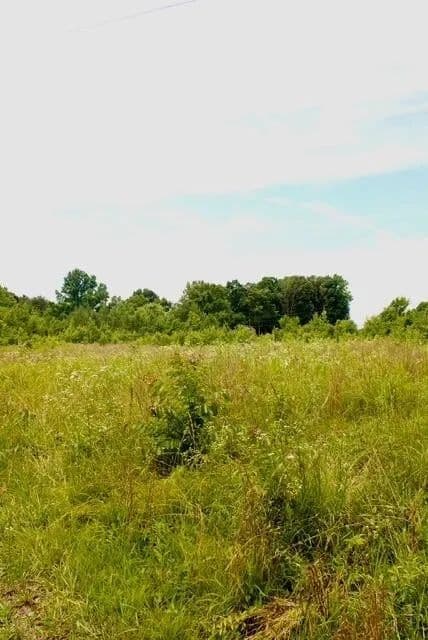 Property from 482 Friendship Lane - KW - Delano, Tennessee, 37325