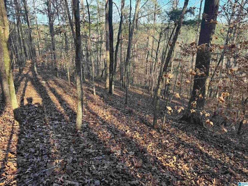 Property from 56 Acres COUNTY ROAD 202 #0 - KW