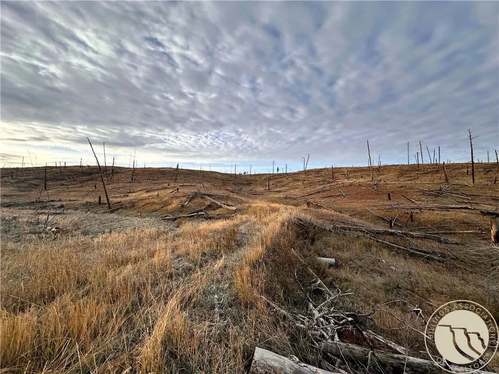 Property from TBD Buckskin Road - KW - Roundup, Montana, 59072