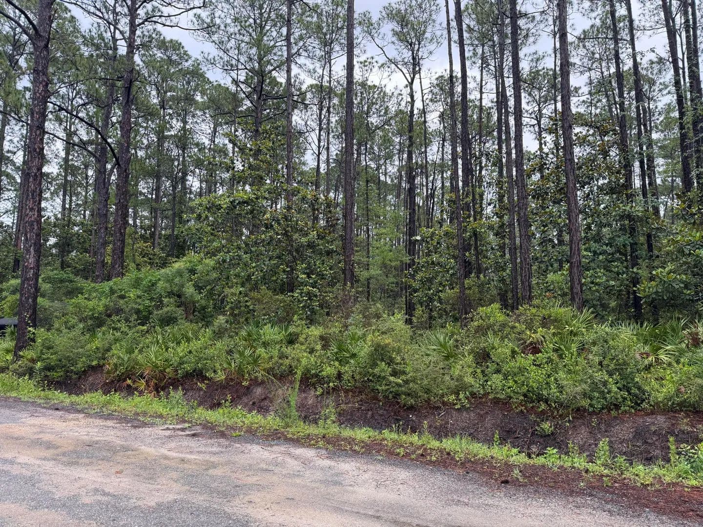 0.43 Acres of Land for Sale in Santa Rosa Beach, Florida - Santa Rosa Beach, Florida, 32459