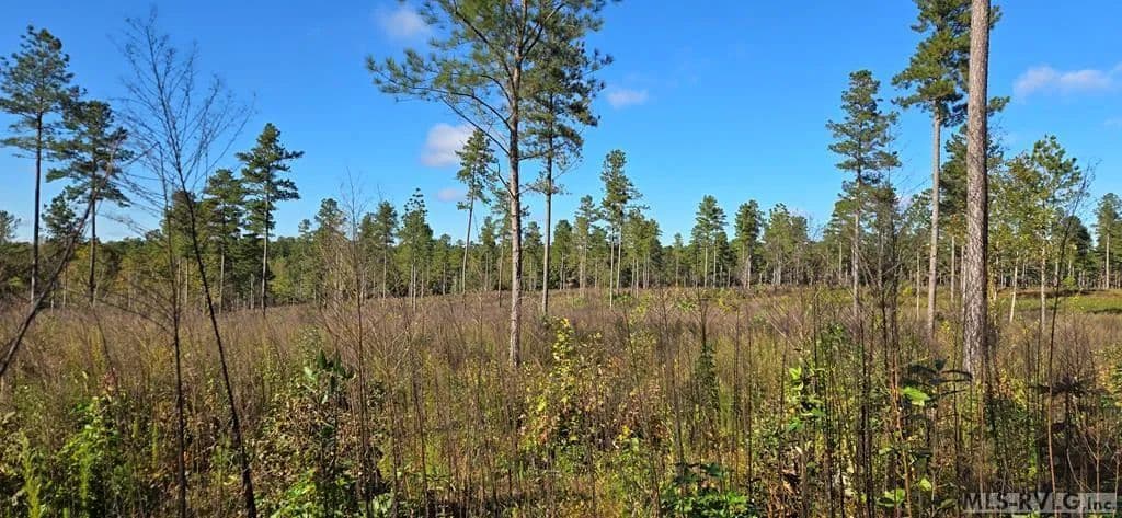 Vacant Land in Lawrenceville - land for sale