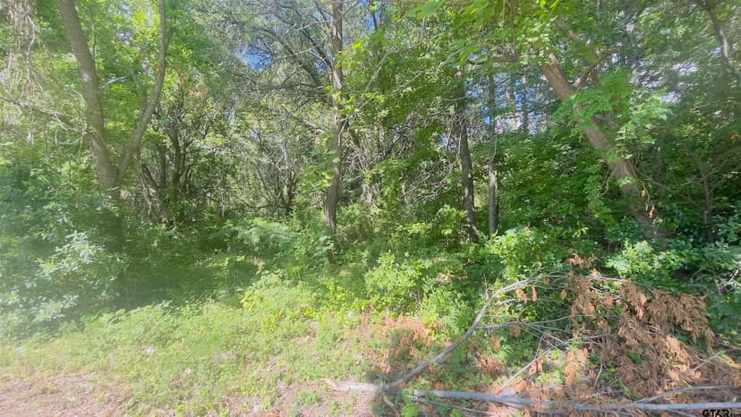 Property from TBD Old Cave Springs Rd #TBD Old Cave Springs Rd - KW