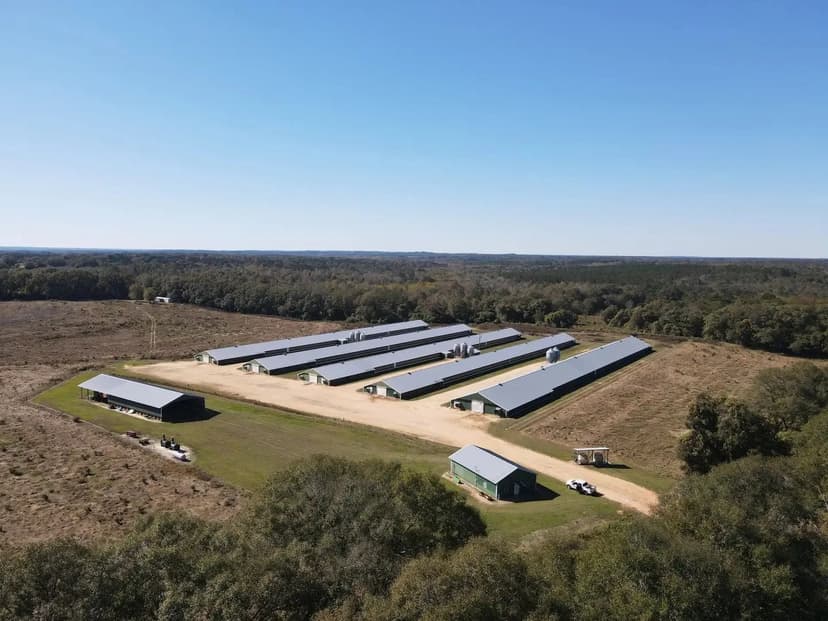 S&S Poultry Farm – Five House Farm in Pike County, Alabama