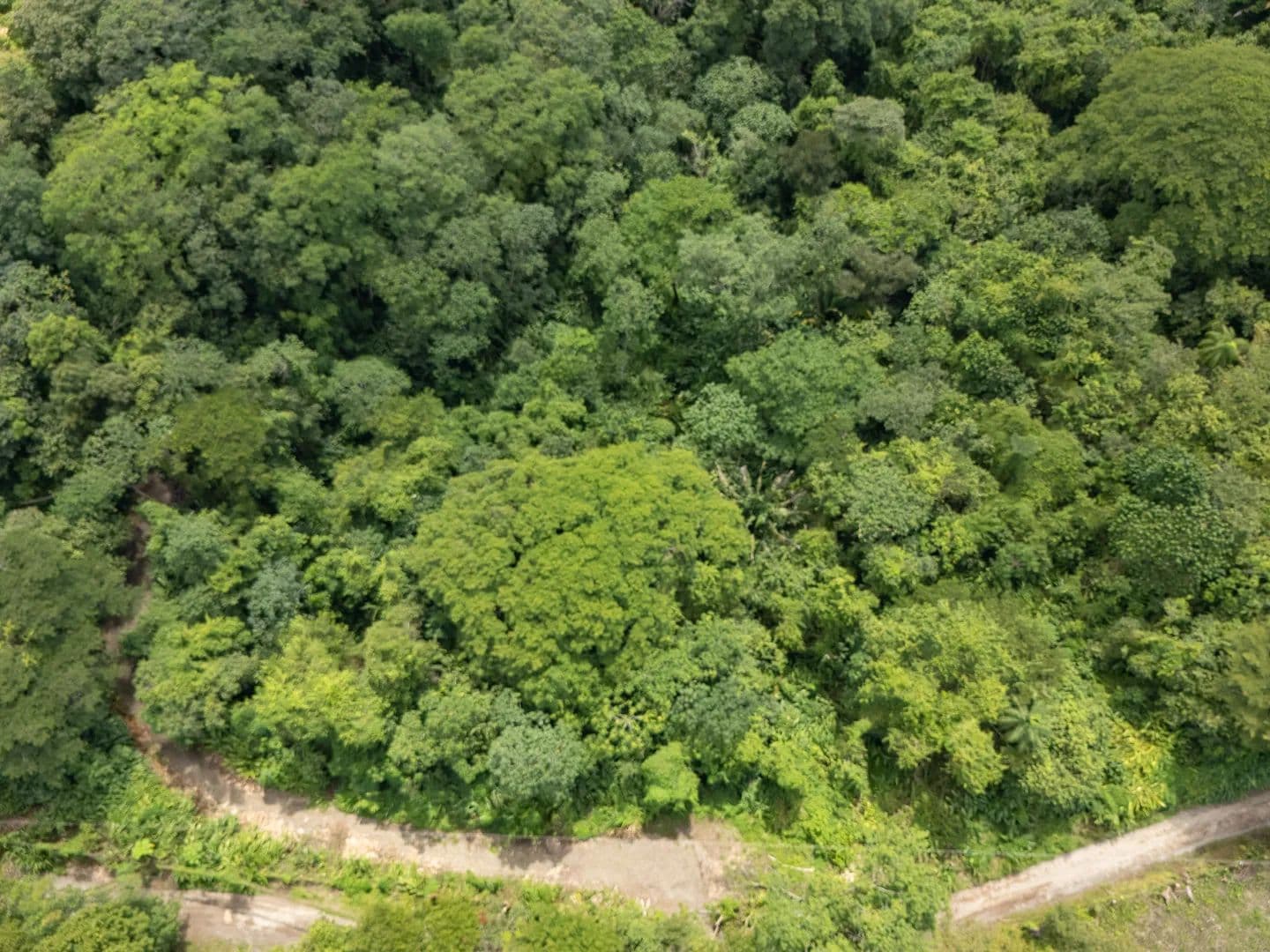 Vacant Land in Cabuya - land for sale