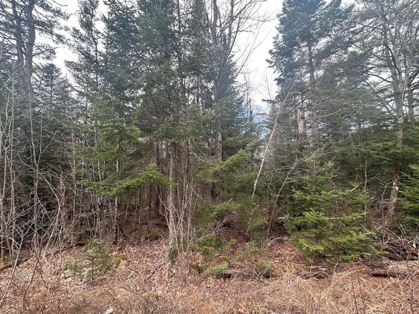 Property from 0 North Littleton Road - KW - Littleton, New Hampshire, 3561