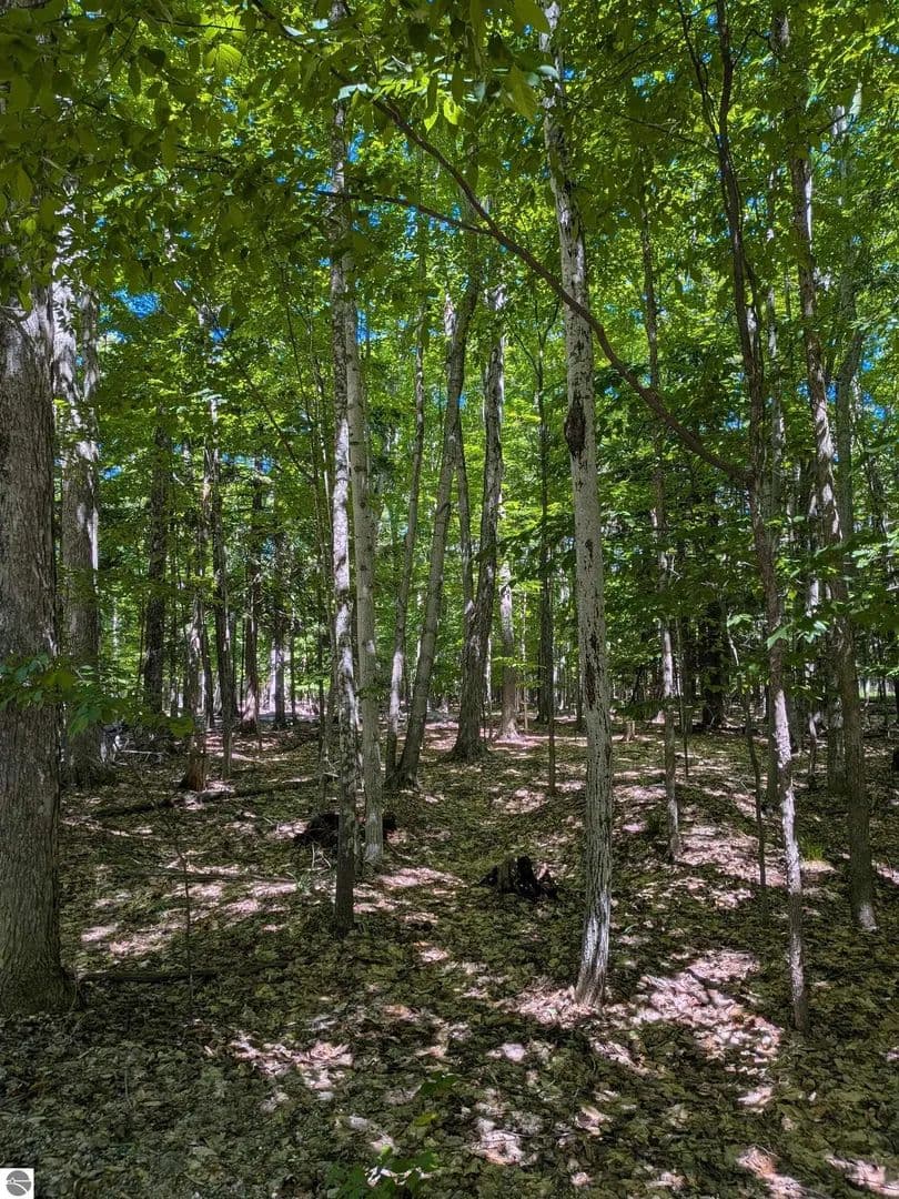 Vacant Land in Pickford - land for sale