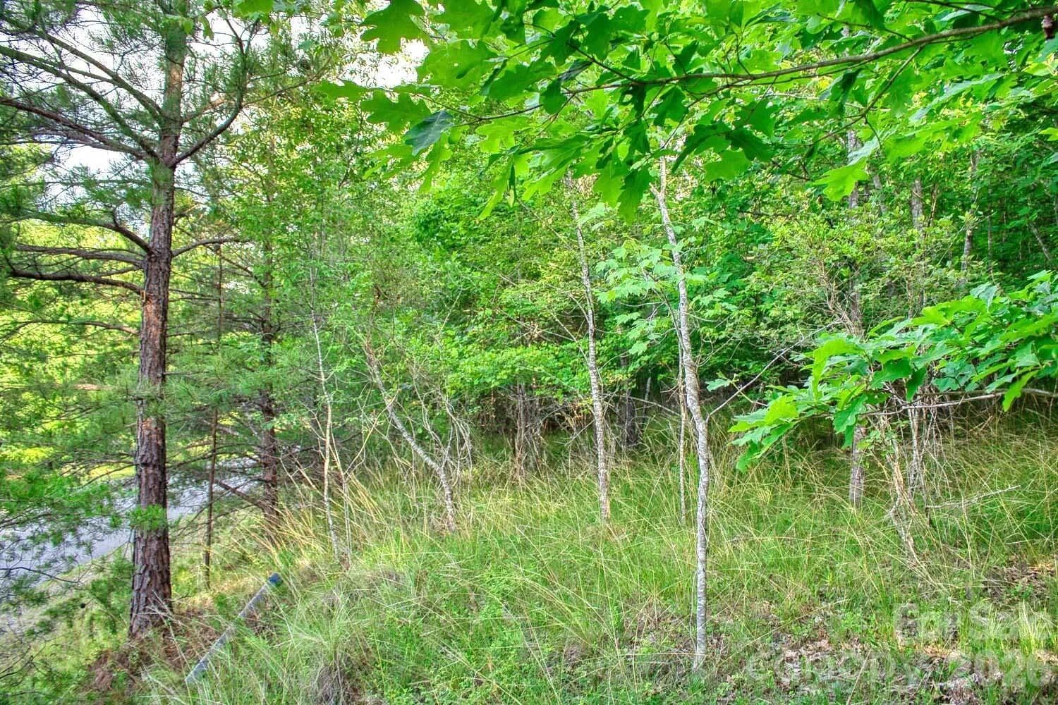 2 Acres of Land for Sale in Rutherfordton, North Carolina - Rutherfordton, North Carolina, 28139