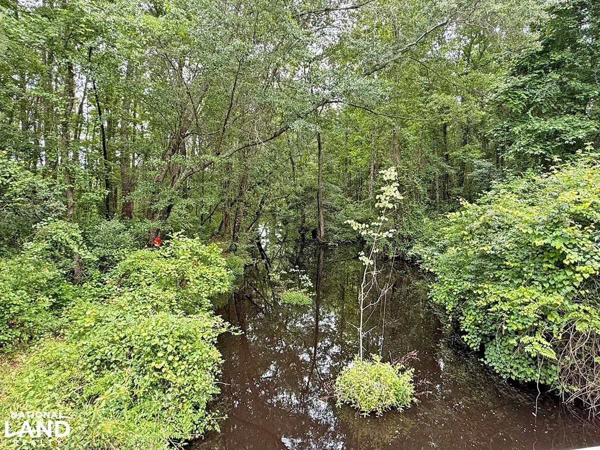 Creekside Waterfront Land - land for sale