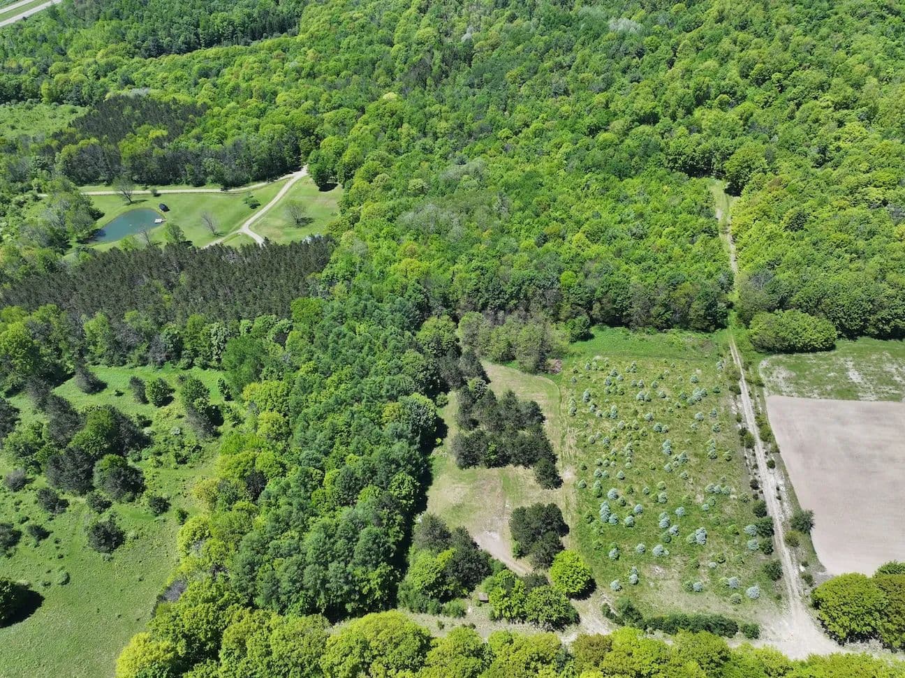 10.2 acre Building Lot, Hunting Land and Recreational Land in Cuba NY N. Branch Rd - Cuba, New York, 14739