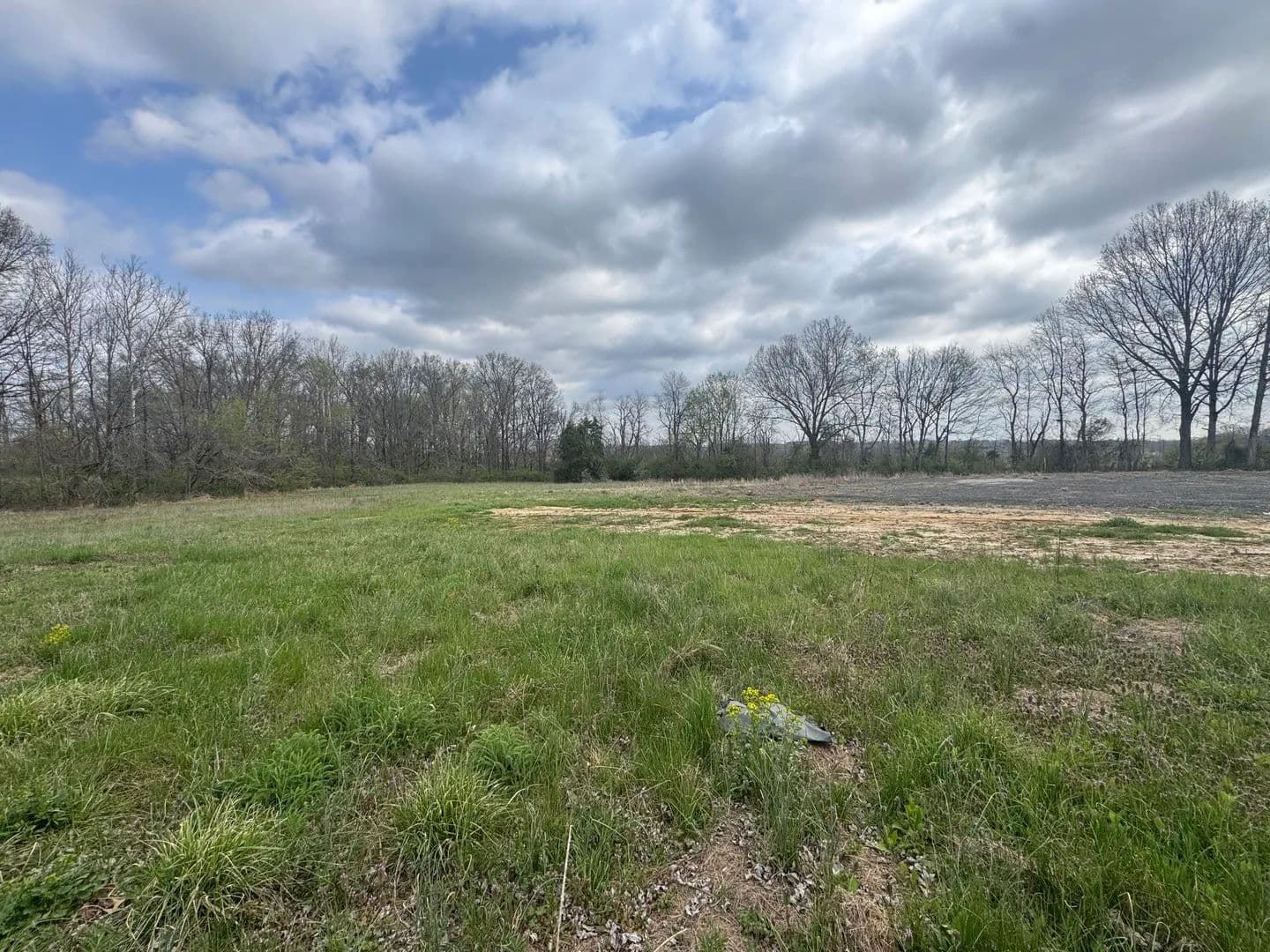 9.06 Acres of Land for Sale in Vienna, Illinois - Vienna, Illinois, 62995