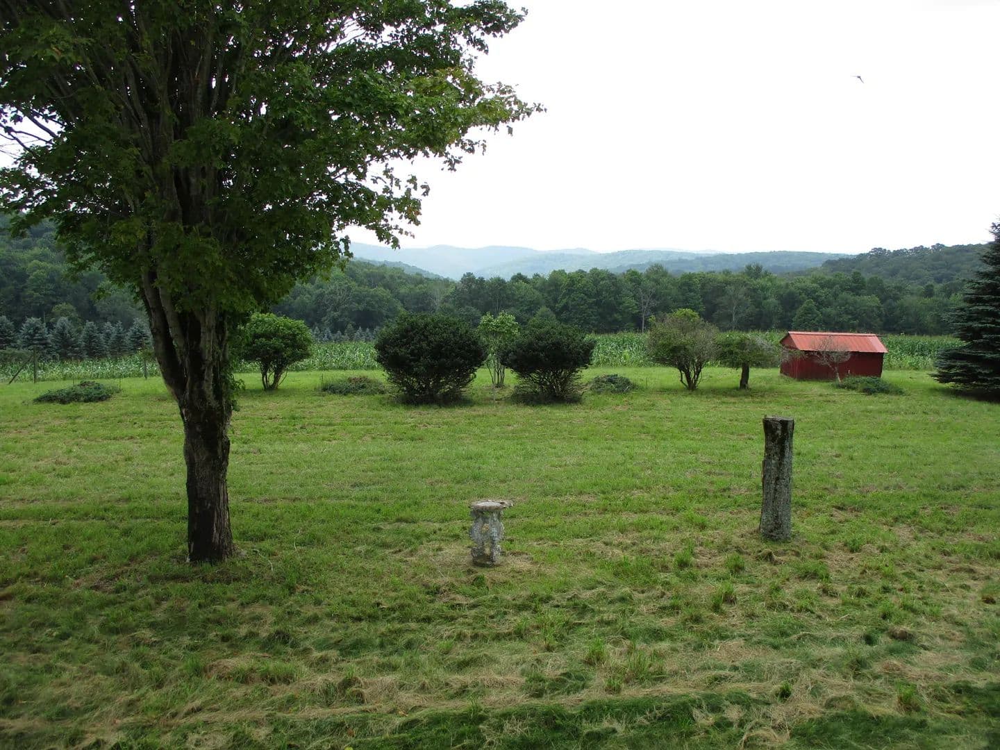 The Lodge on Dodge - land for sale