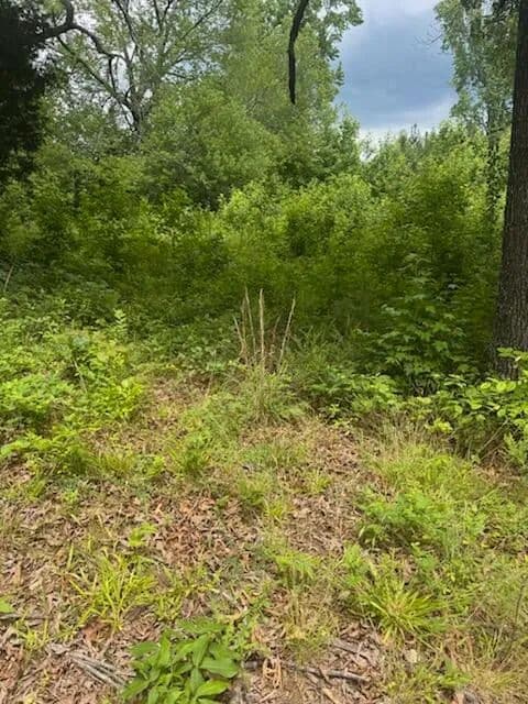 Property from 0 Stewart Road - KW - Ringgold, Georgia, 30736