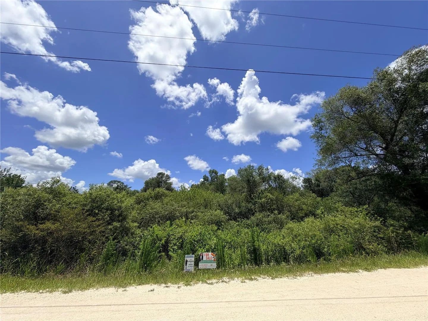 0.82 Acres of Land for Sale in Webster, Florida - Webster, Florida, 33597