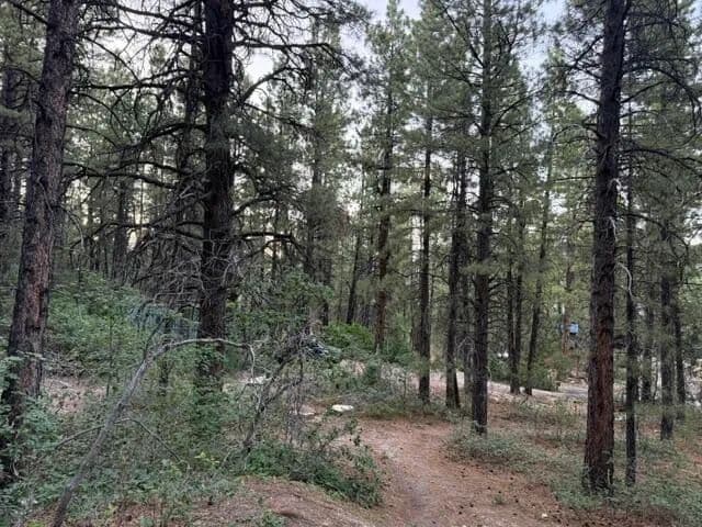0.92 Acres of Land for Sale in Kolob, UT - Utah, 84767